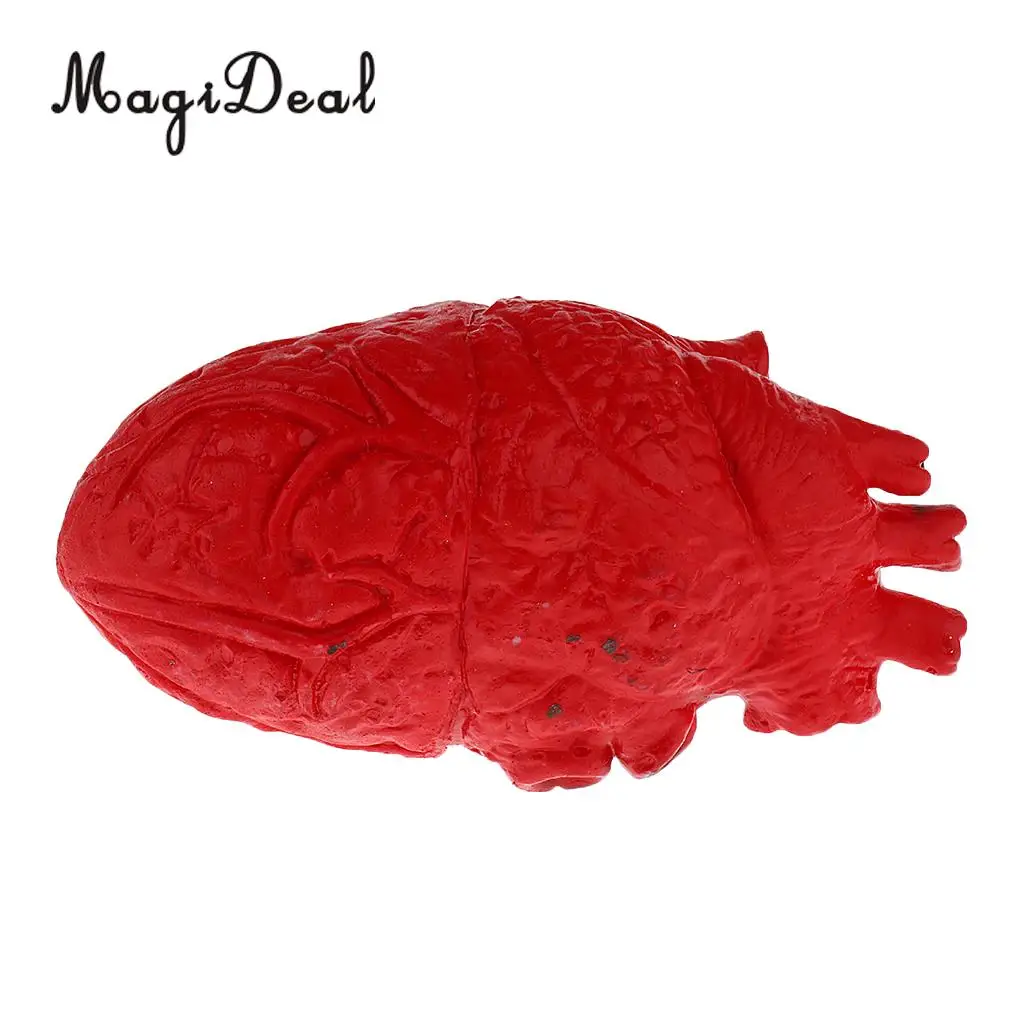 Lifelike Human Heart Model-Chop Shop Body Part Organ Halloween Horror Prop Decorations School Lab Supplies Student Toy 16cm