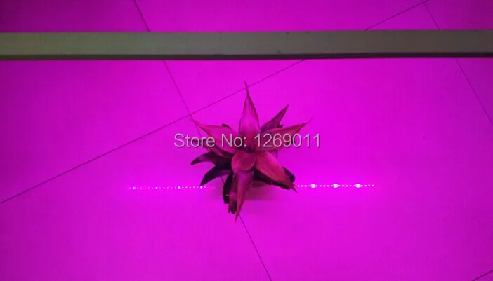 5730 36 5-1 lit