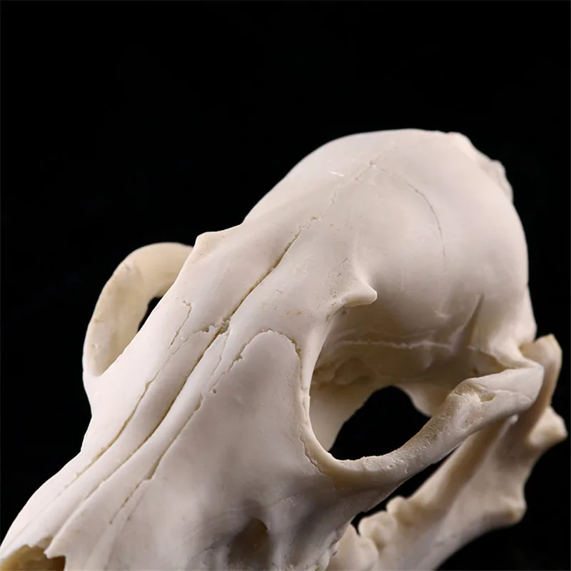 -175 (6)_