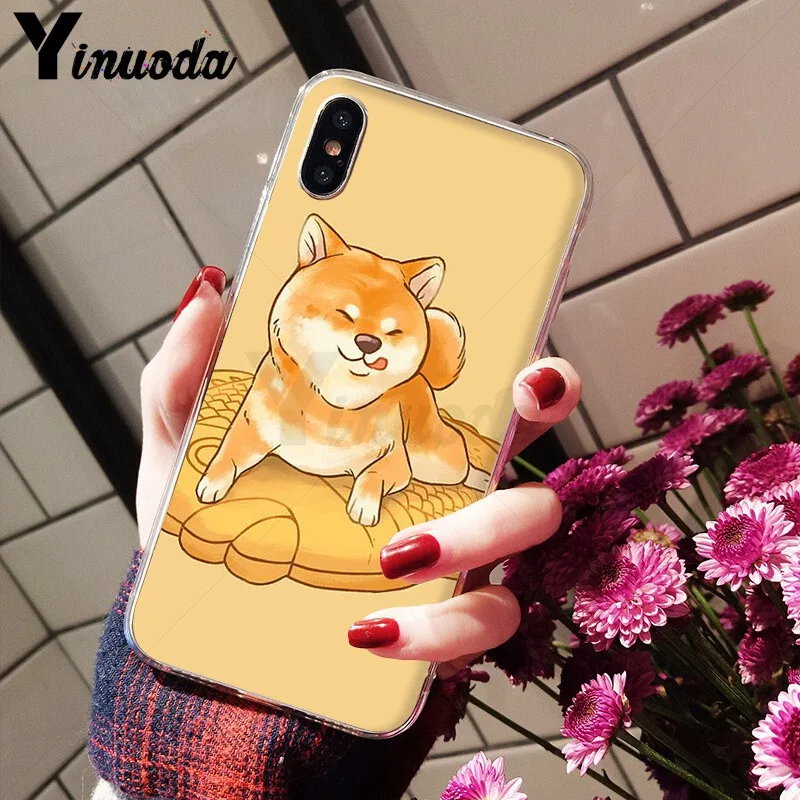 Animal Shiba Inu