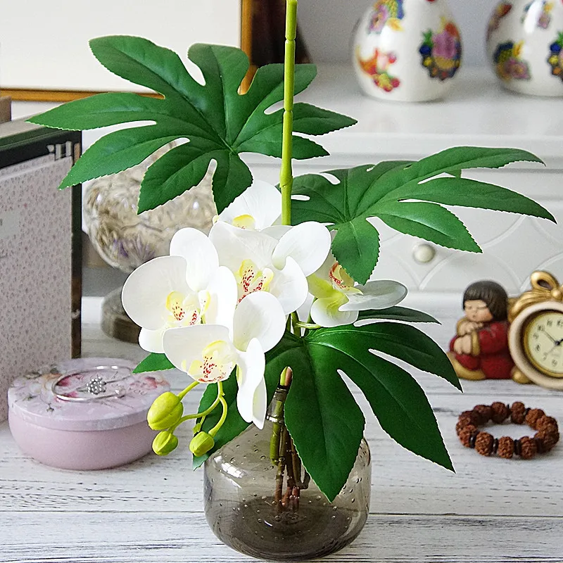 HTB1RIWDi7ZmBKNjSZPiq6xFNVXav