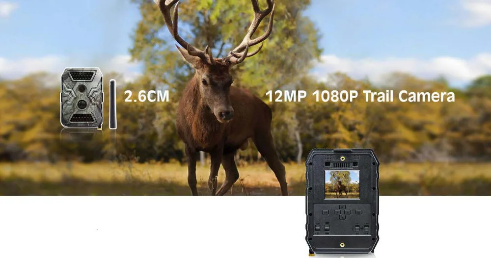 camera tripod thread size