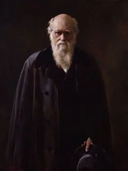

TOP ART # theory of evolution materialism Charles Robert Darwin painting PRINT oil painting on canvas-FREE SHIPPING
