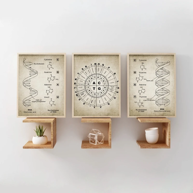 

DNA and RNA Genetic Code Wall Art Canvas Painting Prints Genetics Biochemistry Student Gift Vintage Posters Science Wall Decor