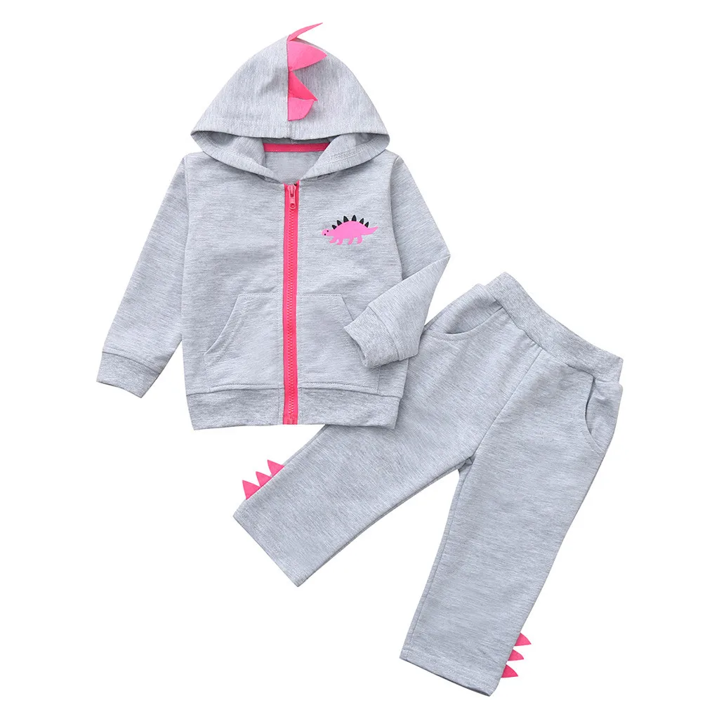 Toddler Baby Kids Boy Girl Dinosaur Zip Hoodie Sweatshirt Tops Pants Set Clothes Children Sweatsuit Kids Tracksuit Hooded