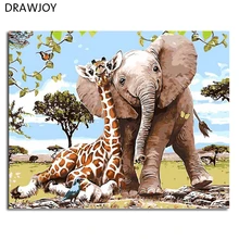 DRAWJOY картина в рамке и каллиграфия милых животных DIY живопись по номерам Раскраска по номерам GX8895 40*50 см