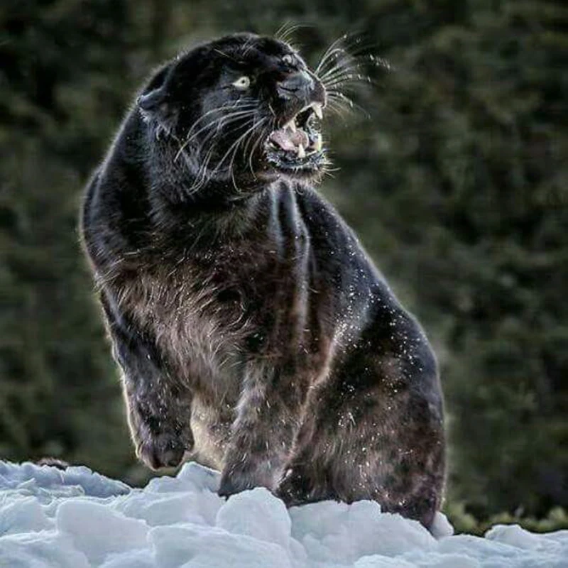 UT82Cv3XVJbXXagOFbXf 