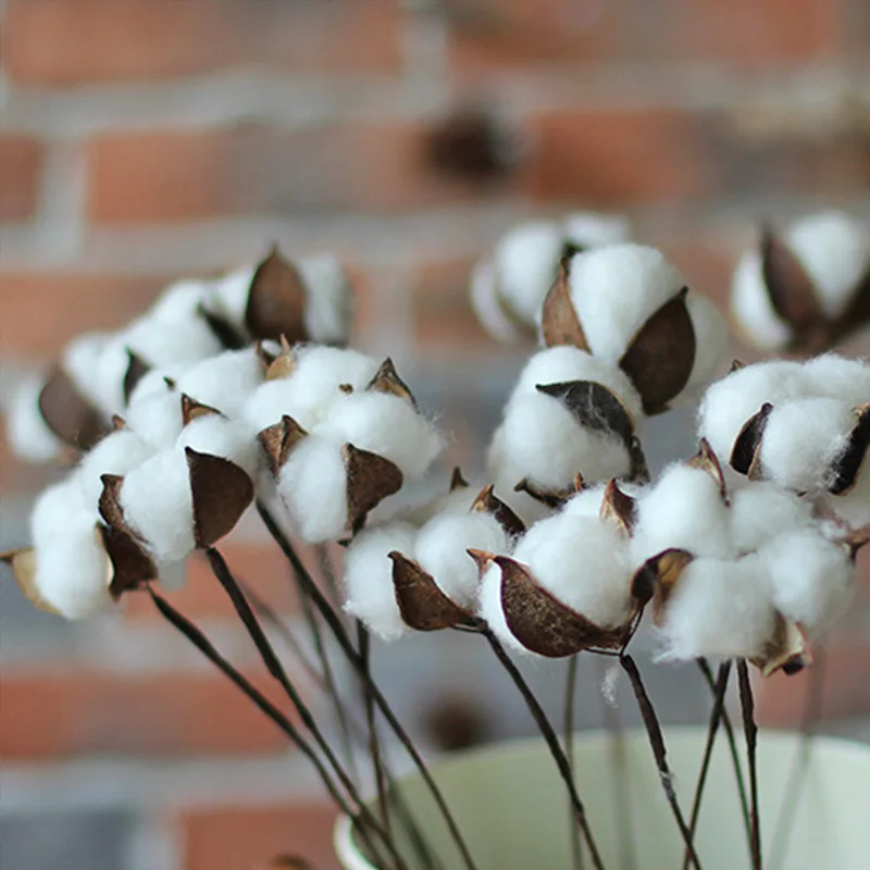 

5Pcs/lot Artificial White Cotton Flowers Branch 60cm/40cm Head 5cm Party Wedding Home Store Office Colorful Decoration A0922
