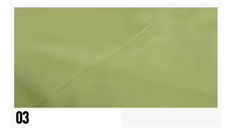 3029452380_2018702420