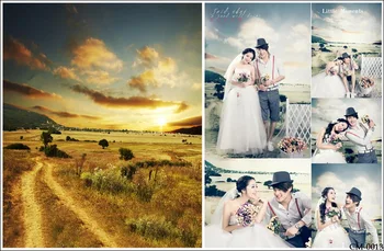 

Vingtage Photography Backdrops Outside View Photo Background Studio Custom Backdrop Long Road Sunset Backdrops Photo Props