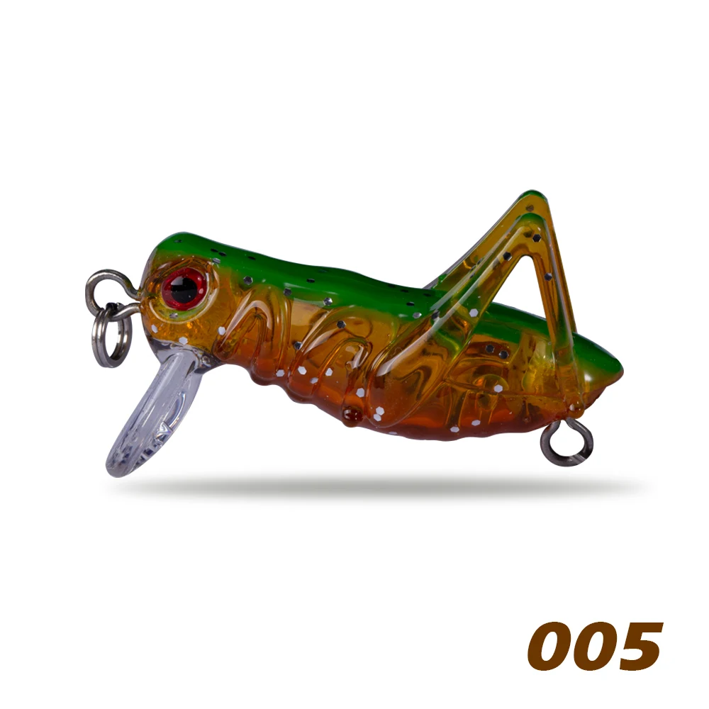 005