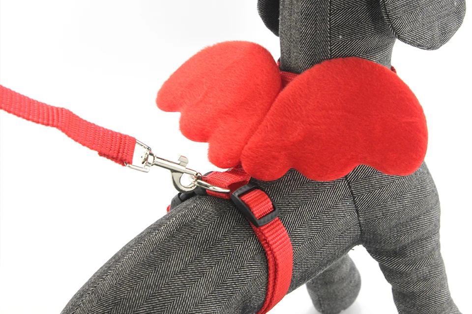 Cute Dog Leash Collar Sets Angles Wings Design Pet Dog Leash Lead For Small Dogs Cats Adjustable Dog Harness Outdoor Pet Product 100