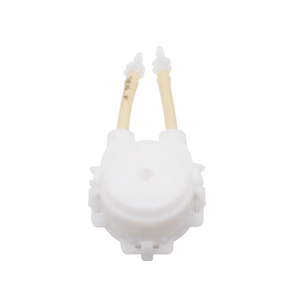 DP-DIY-PBT_