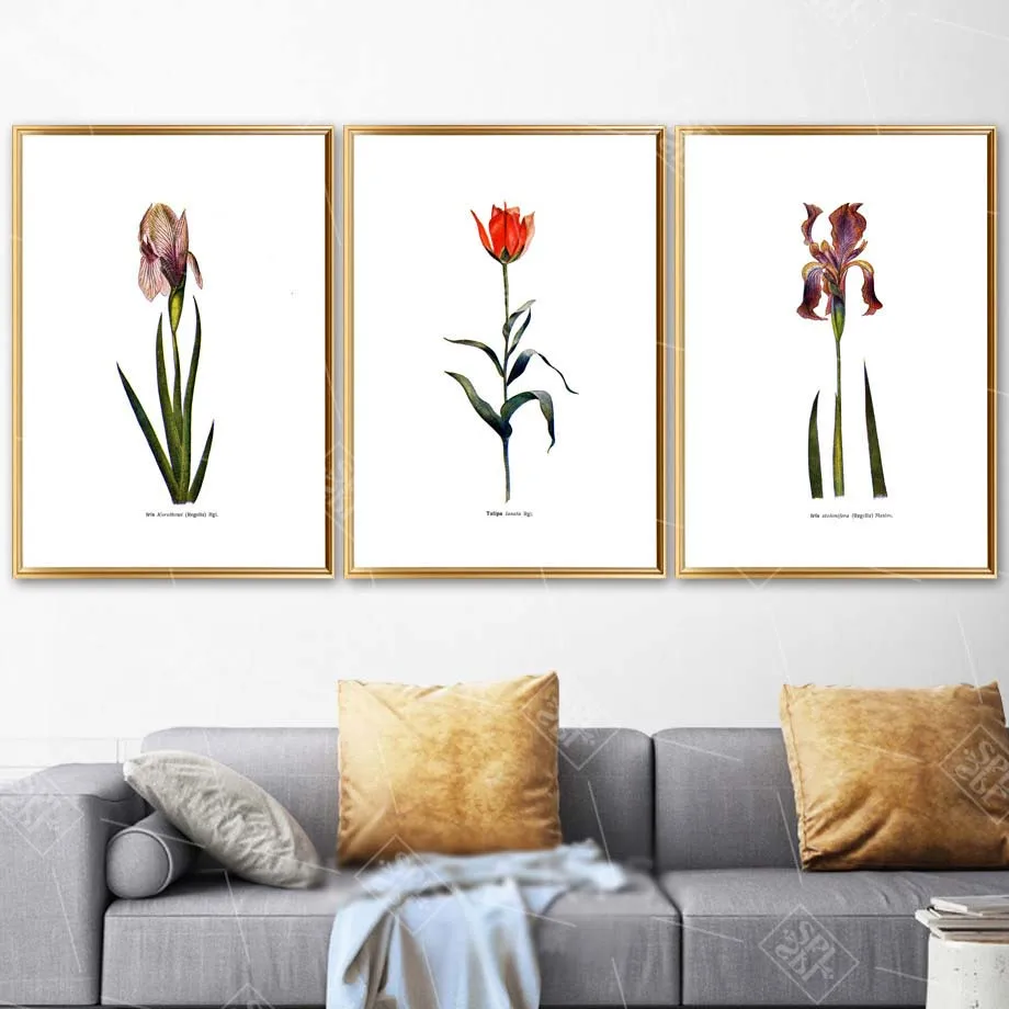 Unframed Modern Home Decoration Posters And Prints Rose Flower