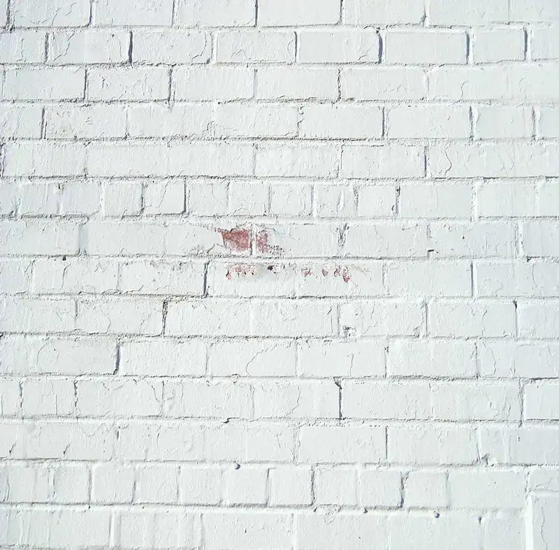 Vinyl Photography Backdrops Customized white brick wall ...