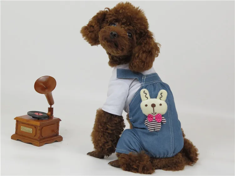 Dog Clothes (2)