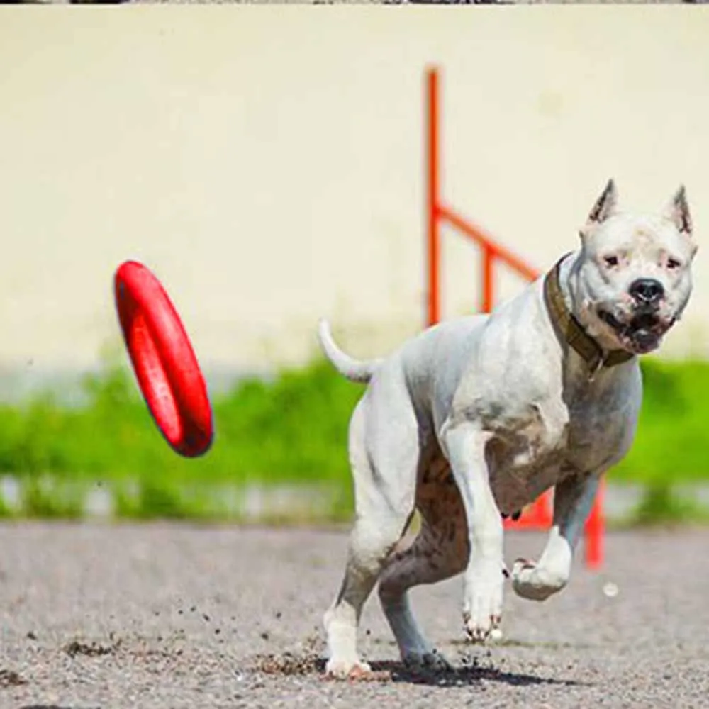 

Pet Dog Frisbee Flying Disc Toy Fetch Training EVA Frisbee Saucer Chew Fun