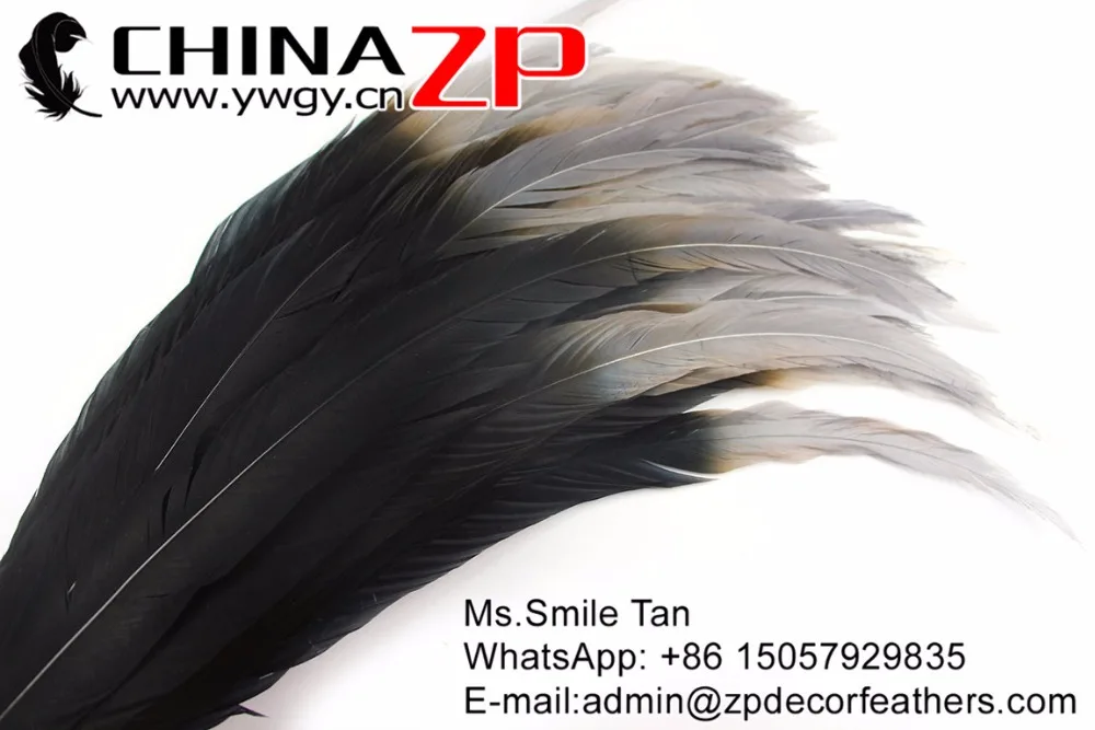 65-70cm silver pheasant feathers with grey tip (3)