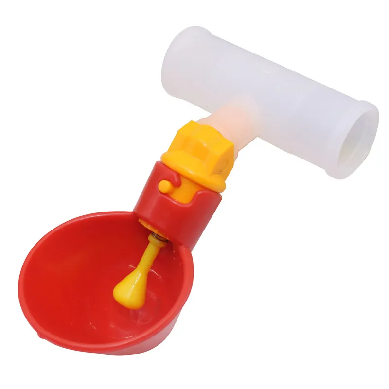 Taza de aves de corral en movimiento
