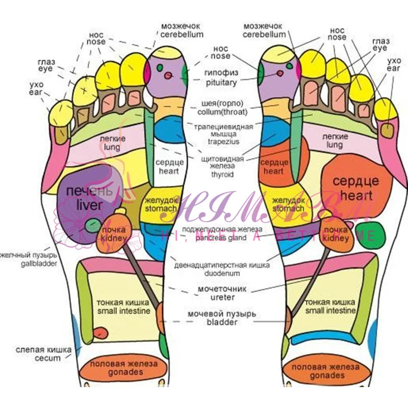 Болит подушечка ступни. Большой палец правой ноги. Безымянный палец левой ноги. Большой палец правой ноги психосоматика. Проекция органов на стопе человека.