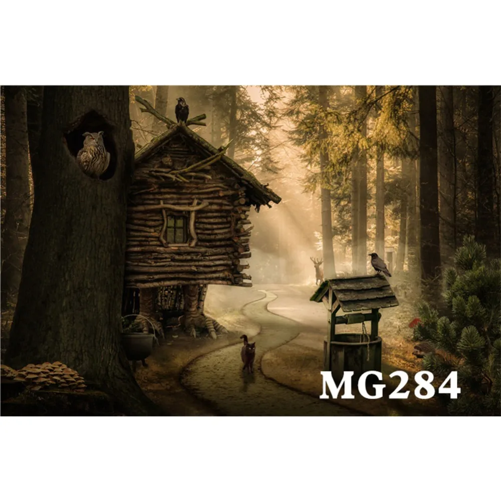 MG284