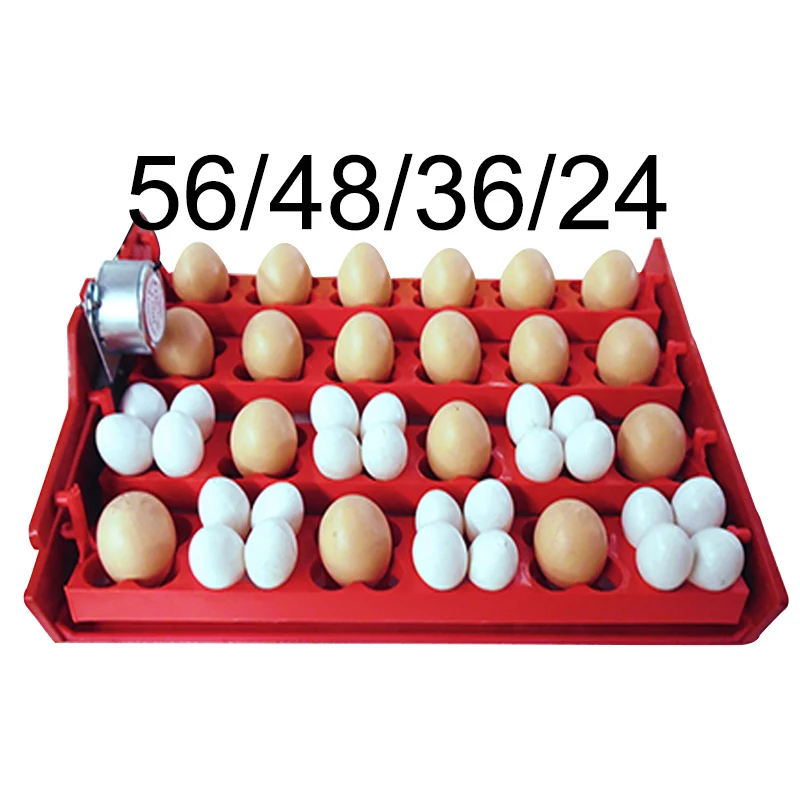 

2 Sets Incubator egg tray 56/48/36/24 Eggs Positions Motor size 220V OR 110V optional Poultry feeding incubator accessories