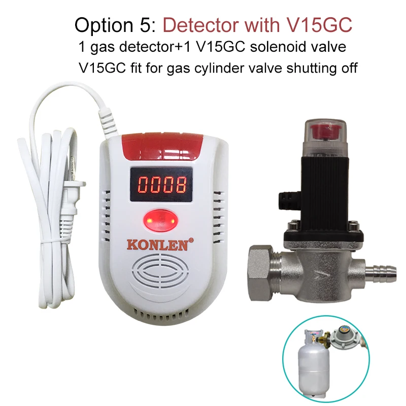 Natural Gas Detector 12V Gas Detector and Solenoid Detector Gas Natural -  China Gas Detector, Gas Leak Detector