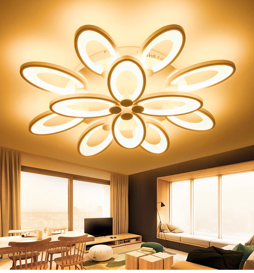 gorgeous ceiling light foyer-06