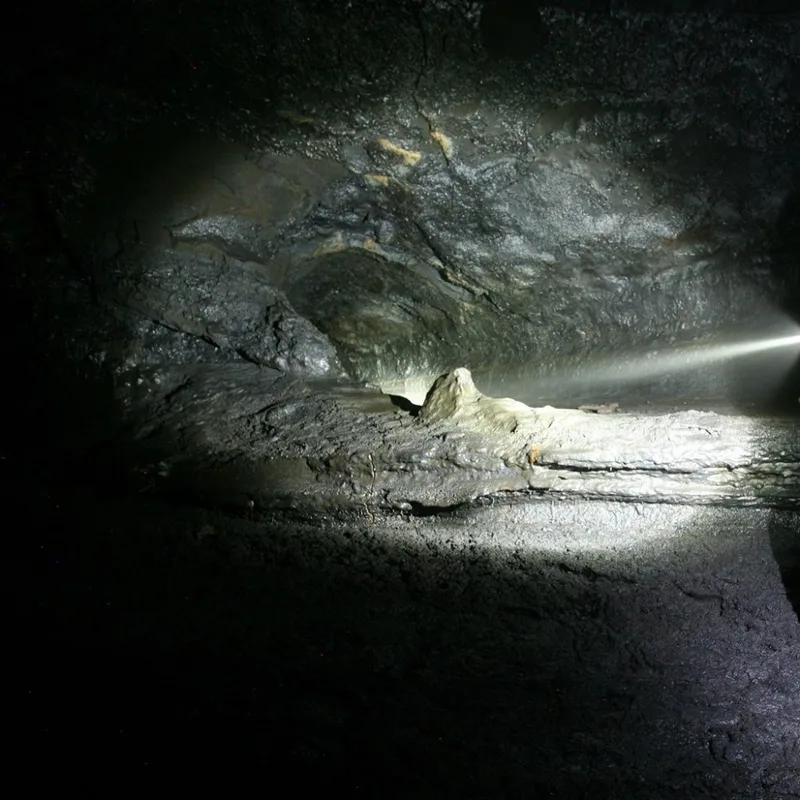 71Y2kfJmXjL._SL1027_