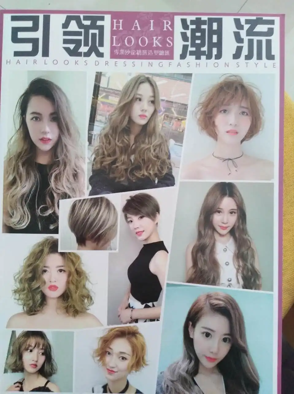 Hairstyle Book 2019 New Trend Leading 500 Models Lady Ms Long