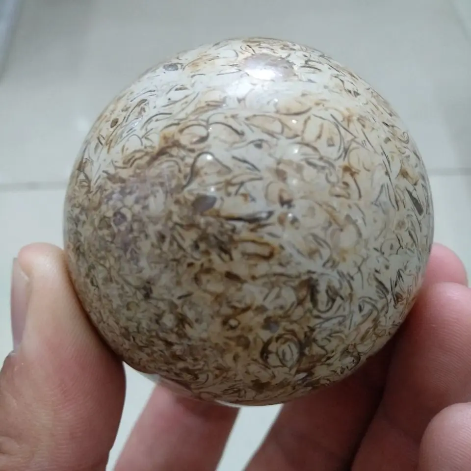 QQ20190416215916