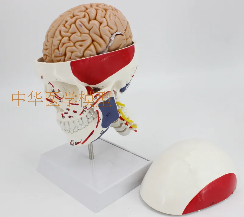 //img.alicdn.com/imgextra/i3/403496940/TB2vTa9awRkpuFjy1zeXXc.6FXa_!!403496940.png