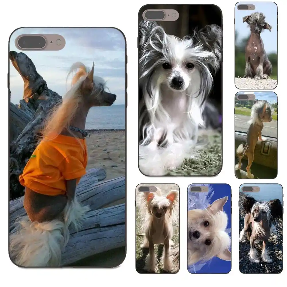 cute dog of breed chinese crested for lg k50 q6 q7 q8 q60 x