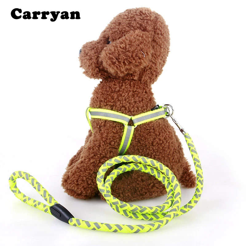 Nylon Reflective Small Dog Collars Night Safety Pet Leads Adjustable