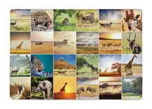 Floor Mat Creative African Animal wildlife Collages Print Non-slip Rugs Carpets alfombra For Indoor Outdoor living kids room
