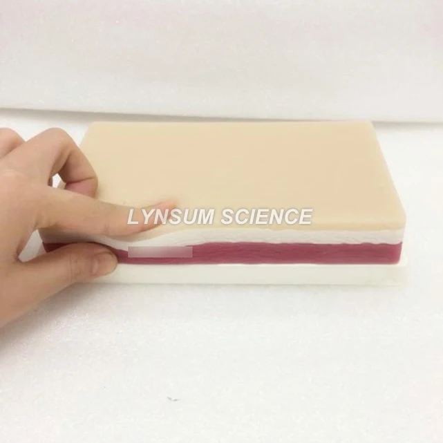 

Medical Silicone Skin Model Pad for Suture Practice Stitching Module Suture Training