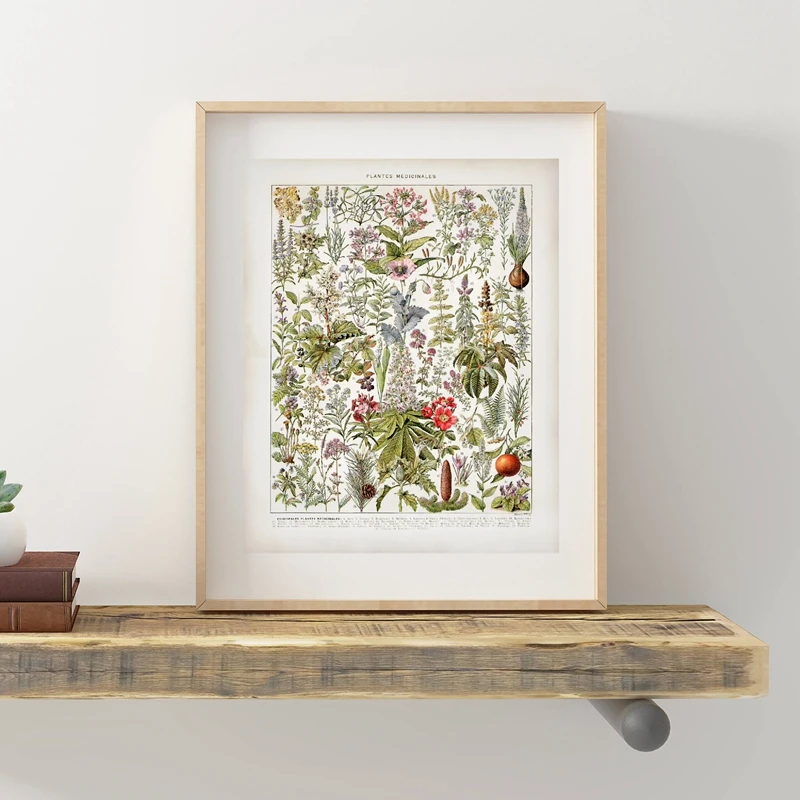 Botanical Medicinal Plants Canvas Painting Home Decor