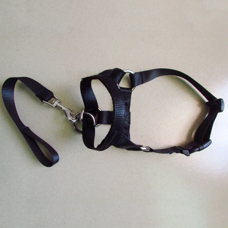 

Dog Head Collar Gentle No Pull Pet Halter Leash Leader Straps for Training Dogs