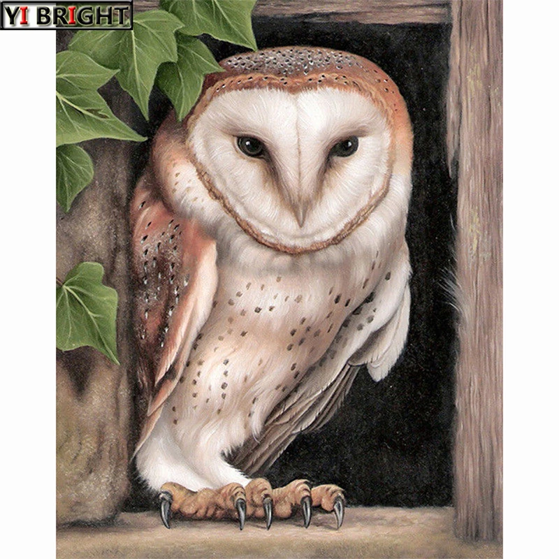 

Full Diamond 5D DIY Diamond Painting "Cute Owl" Embroidery Cross Stitch Rhinestone Mosaic Painting Home Decor