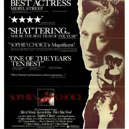Sophie's Choice Movie Poster (27 x 40)