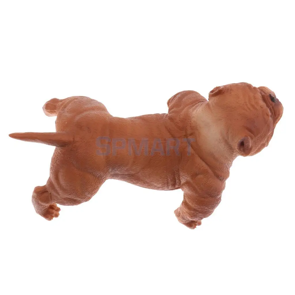 Simulation Wildlife Farm Pet Animal Model Action Figures Figurine Kid Educational Science Nature Toy Home Collectible Decoration