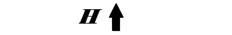 H 8