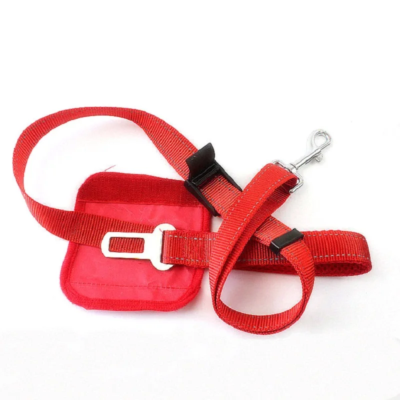 leash