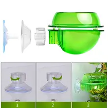 Bol de nourriture Reptile tortue Lizard | Bol Anti-fuite, tasse de nourriture, récipient de nourriture vivante
