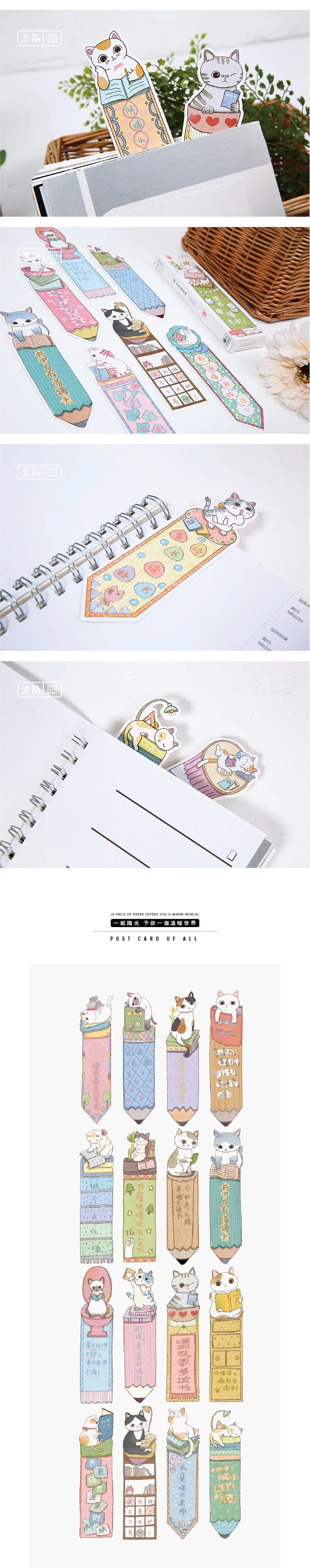 3466467810_1597187969