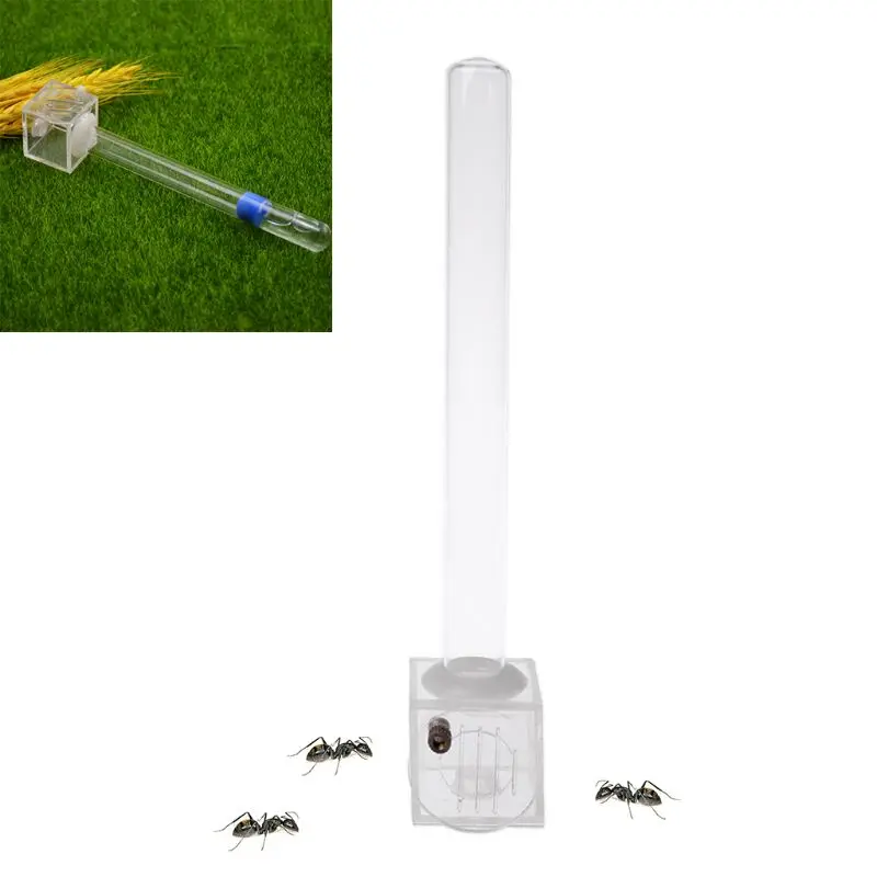 

Glass Tube Ant Water Feeder With Active Zone Ants Farm Acrylic Insect Nest House