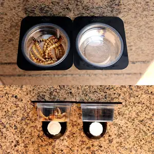 Пластик рептилий подача воды пищи чаша насекомых паук разведение Танк коробка блюдо диспенсер стены присоски установлен Reptile подачи - изображение