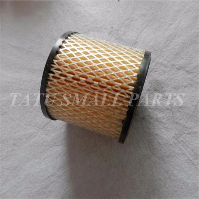AIR FILTER Briggs&Stratton 390930 3