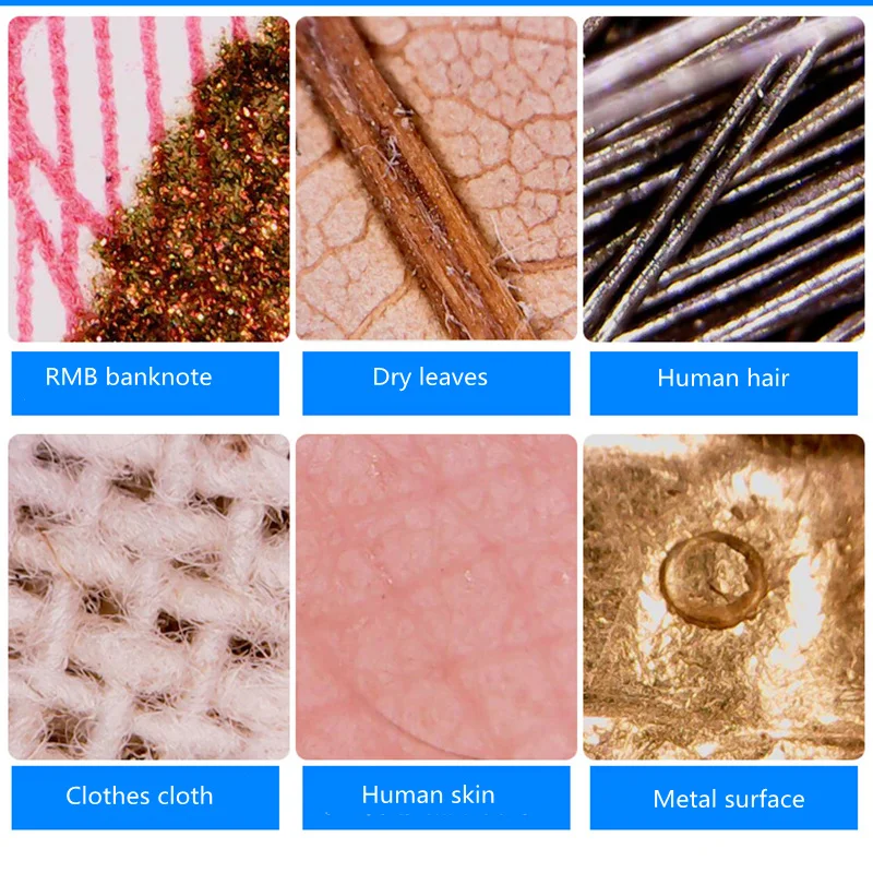 human hair under microscope 1000x