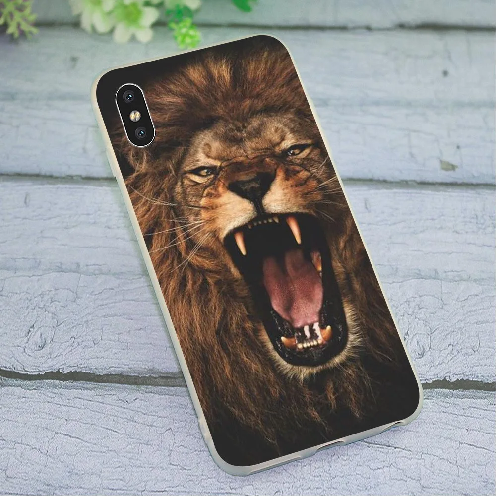 Lion cases